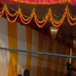 Vraj-Yatra-2014- (2908)
